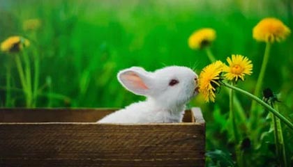 伴游微信，联系方式